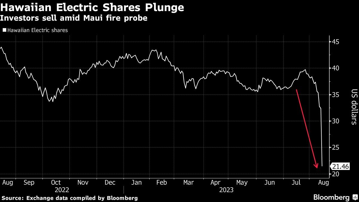 The future of the Hawaiian Electric Company is in doubt after the billion-dollar collapse